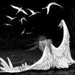 aceton_'s profile picture. 