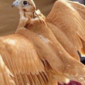 Alli150hot's profile picture. 