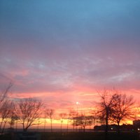 Necati Pekuva (@npekuva) Twitter profile photo