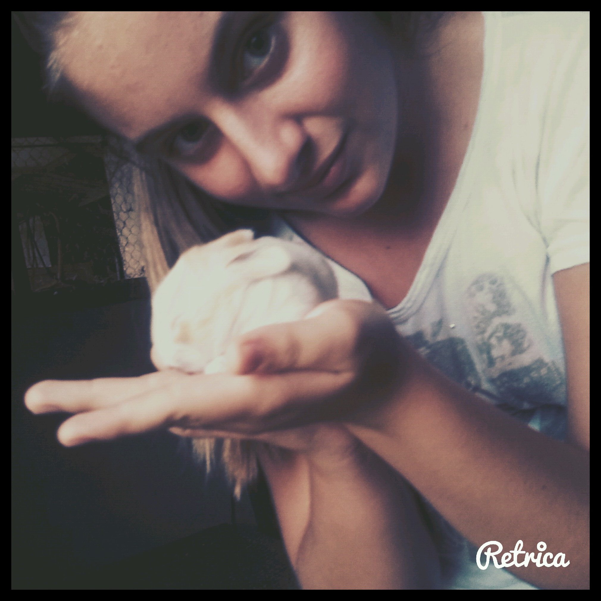 I love  animals and one direction