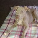 Max Vigil - @vigilosoy - Twitter