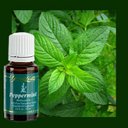 Veronica McCormack - @YLoils_heal - Twitter