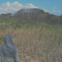 Overthinker . This place is trash of my though, not for communicate. thx