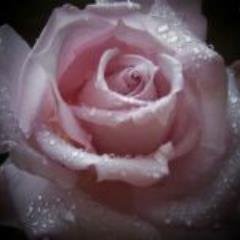 SabrinaMinze's profile picture. 