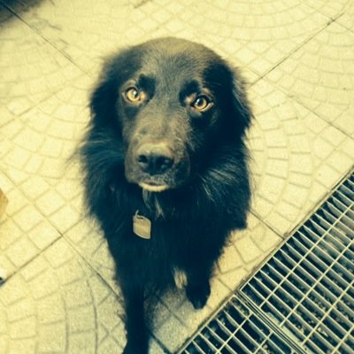 Deb3Mills's profile picture. 