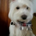 Nachy (@13Nancybar) Twitter