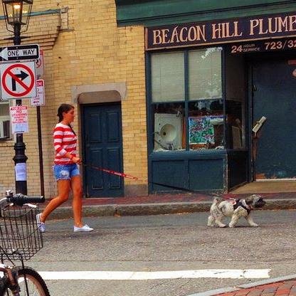 A Twitter dedicated to the hot bitches with hot bitches who stroll and control Boston's Beacon Hill. 
Bark @ Us: B1tchesonthehill@gmail.com
