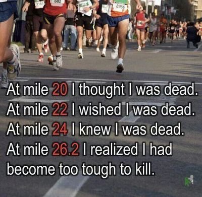 frankie1769's profile picture. 