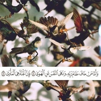 ‏‏‏تذكرو(يوم يشهد عليهم سمعهم وابصارهم)
