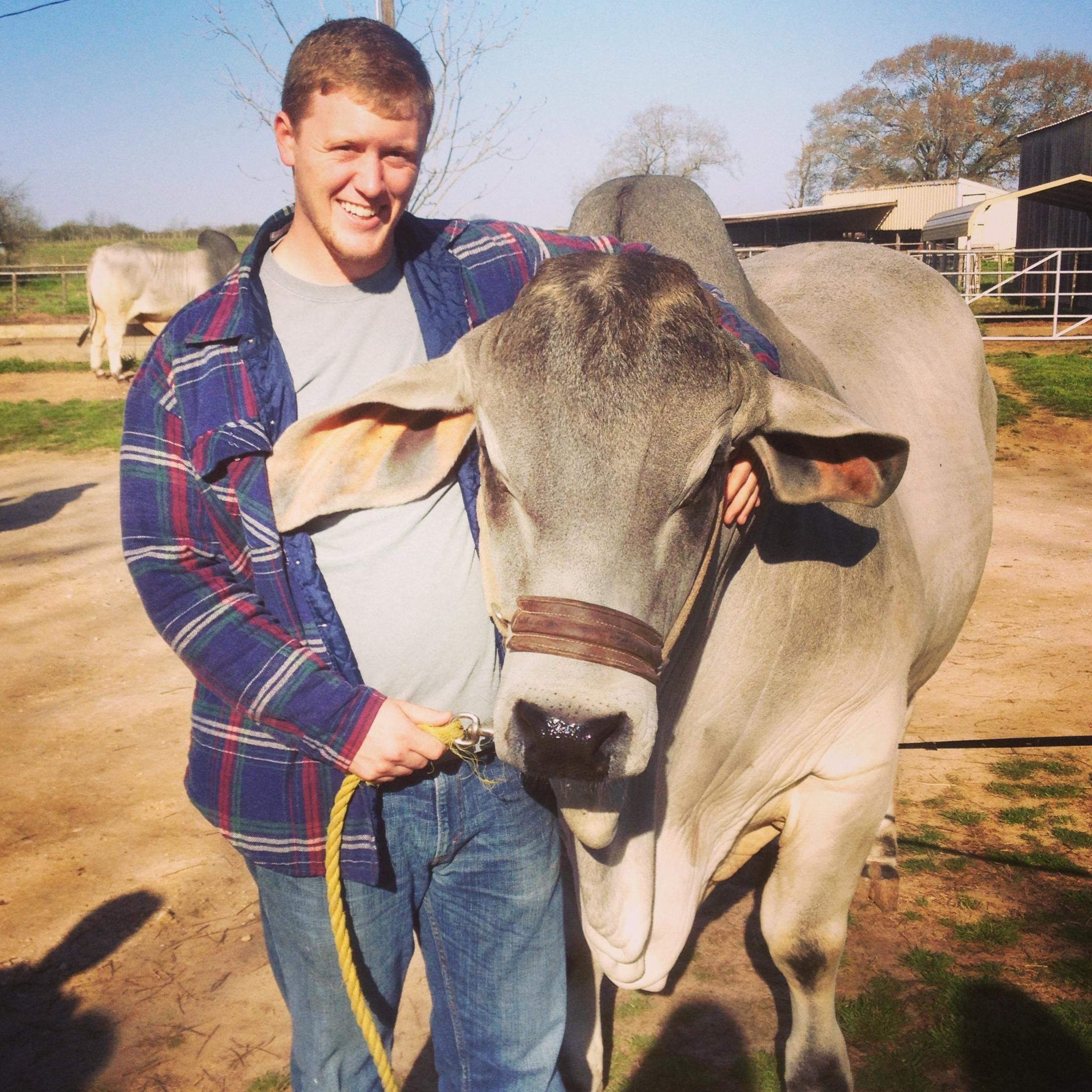 MalJonesboy's profile picture. 