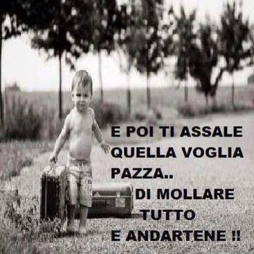 MailPaola's profile picture. 