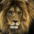 amer_besamty11's profile image
