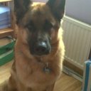 Brian Dillon - @1eef4bd86cd648a - Twitter