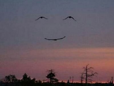 free man love woman