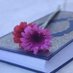 نبض القرآن (@nabdh88) Twitter profile photo