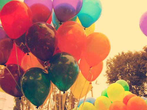 shaufa_dilla's profile picture. 