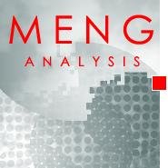 MENG Analysis provides independent quality and cost performance services