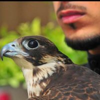 منصور (@man9or_ad1) 's Twitter Profile