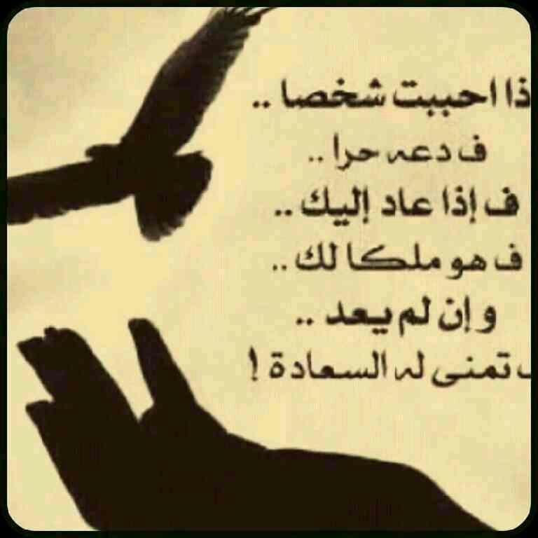 ududdudu1's profile picture. 0530907778