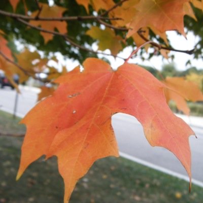 elmvale1969's profile picture. 