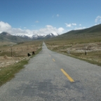 News & views from major field-based NGOs around the world