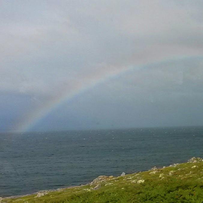 frocky1's profile picture. she/her