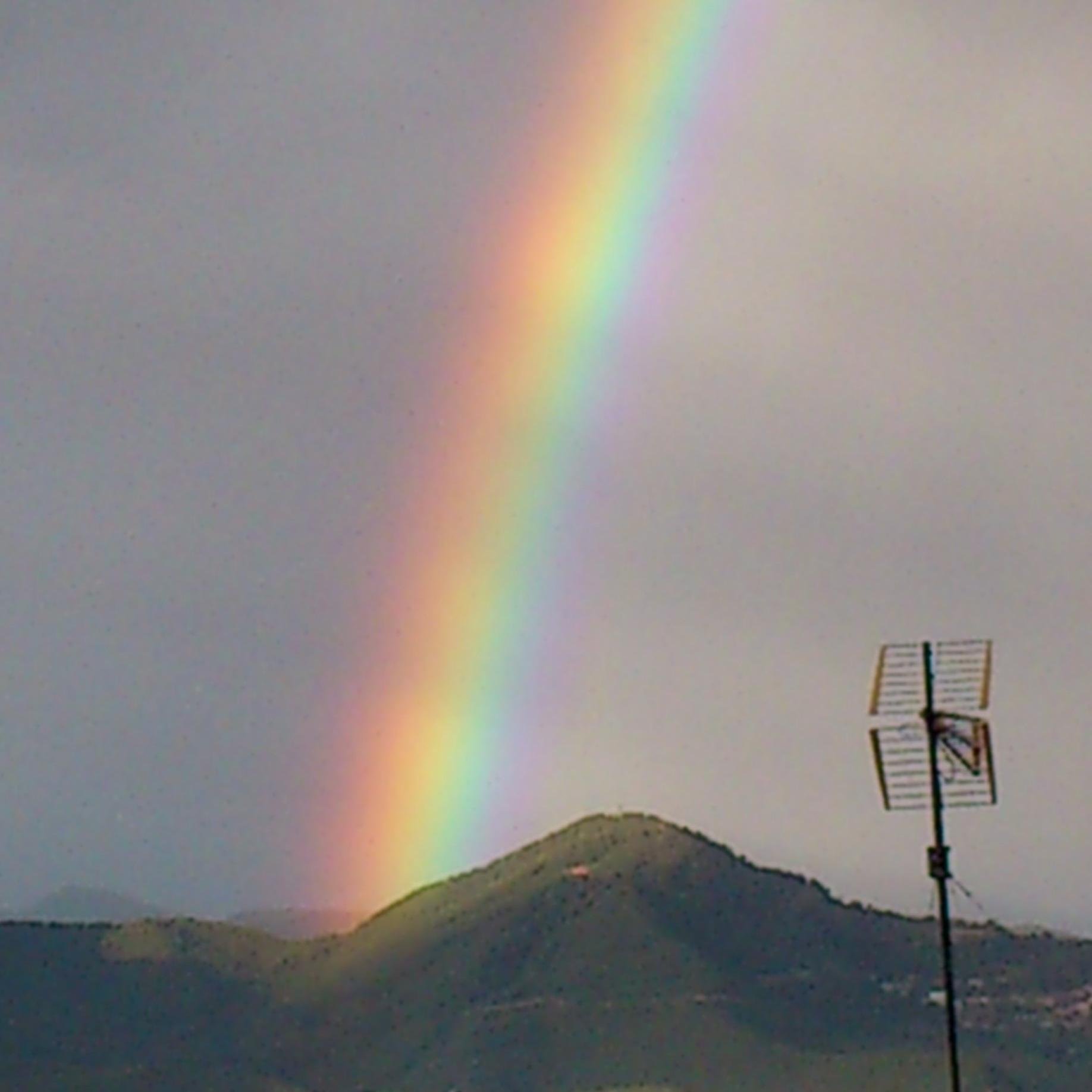 Sussi_Sans's profile picture. 