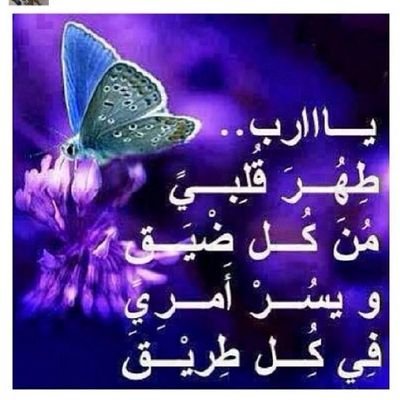 تعليم
