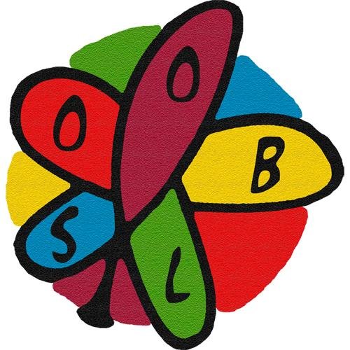 Savjet omladinskih organizacija Banja Luka je krovna omladinska organizacija u Gradu Banja Luka.