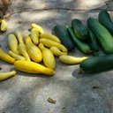 Tommy Driver - @loveacres3 - Twitter