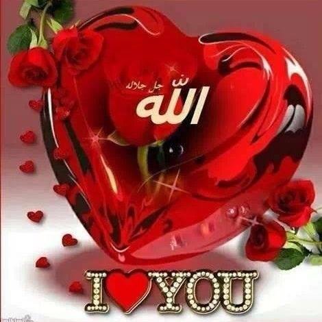 boricuanyr's profile picture. 