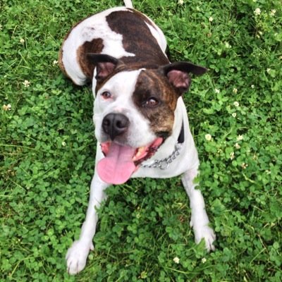 k_sahadi's profile picture. 