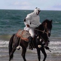 alshahmalhassan (@2022alshahm) 's Twitter Profile