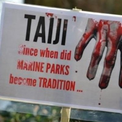 Fighting against captivity and the Inhumane Cruel Slaughter within the Currupt Dolphin trade In Japan.
