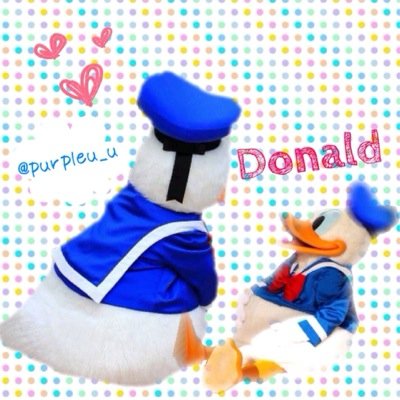 ミニドナ＊愛知＊98line♡JK2＊遠方組＊浮上率低め＊新垢@loveu2220