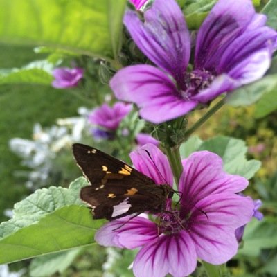 JohnnyGolden's profile picture. What is the source? The one question everyone should ask themselves before they move into the next life...