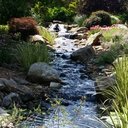 Deanna McAtee - @deannalmcatee - Twitter