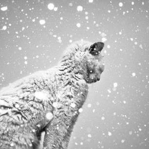 Slipping out of orbit, breaking out of the cycle. There’s no need to do as society dictates, we follow our hearts