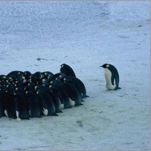 isolator1031's profile picture. 