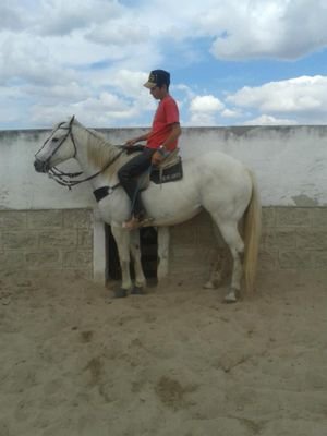 sou vaqueiro nordestino, puxar boi é meu destino!!!
Haras SS
Grupo Diniz
Equipe cavalgada pocinhos-PB
ZapZap (083)9320-2610