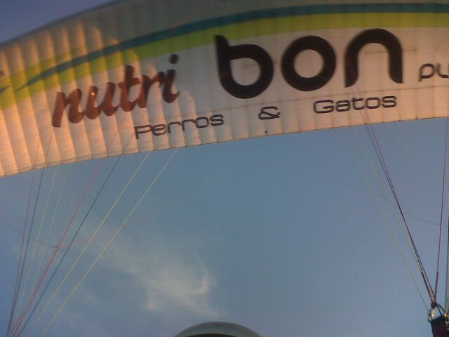 gonbello2's profile picture. 