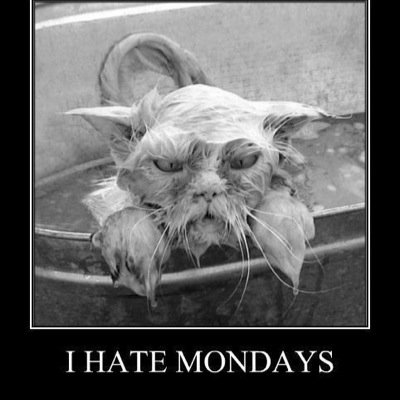 Craigknox1Knox's profile picture. 