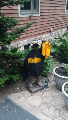 Steeler Nation Member