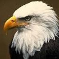Sampson Early College High School (@sampsonearlycol) 's Twitter Profile