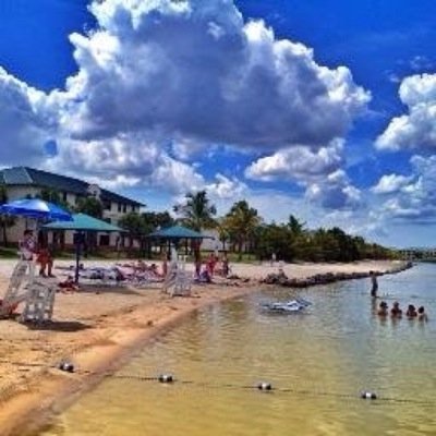 Not affiliated with fgcu | send in your confessions to my dm | everything stays anonymous