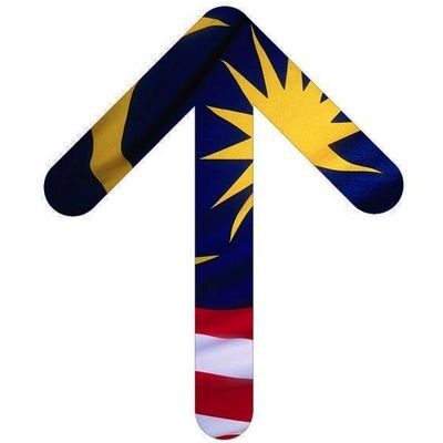 syg_malaysia Profile Picture