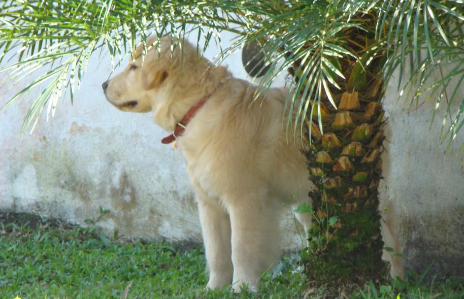 rajadamnernbr's profile picture. 