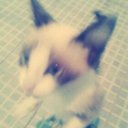 jenny aranda - @karlamorales437 - Twitter