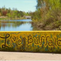 Pitching Buffalo (@pitchingbuffalo) 's Twitter Profile