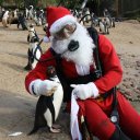 BrockJr - @BrockDavidsonJr - Twitter